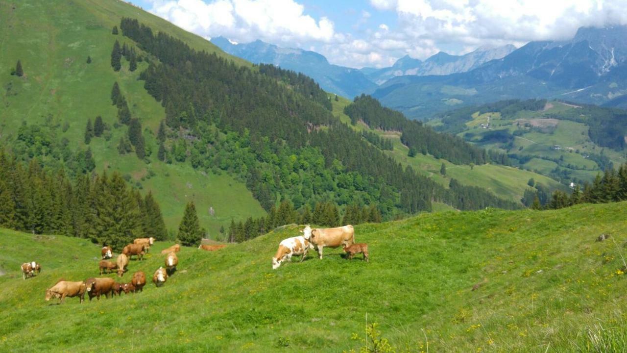 Biobauernhof Jagglhof Saalfelden